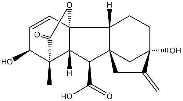 赤霉素GIBBERELLIC ACID，居然有這么神奇？